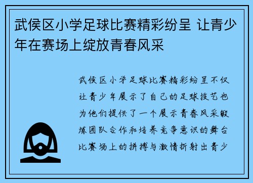 武侯区小学足球比赛精彩纷呈 让青少年在赛场上绽放青春风采
