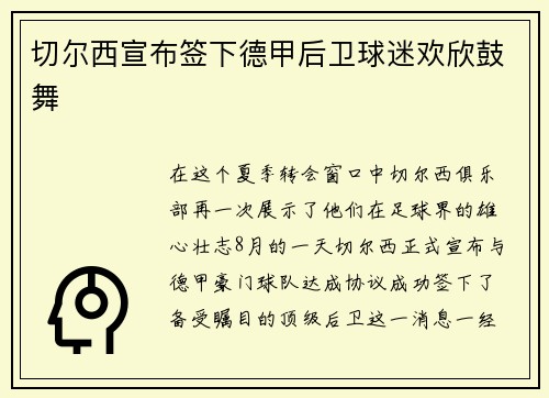 切尔西宣布签下德甲后卫球迷欢欣鼓舞