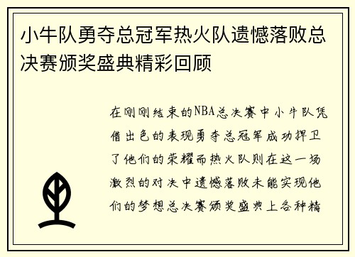 小牛队勇夺总冠军热火队遗憾落败总决赛颁奖盛典精彩回顾